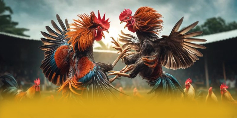 FAQ về BET168