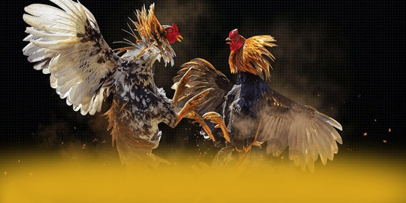 Lợi thế cạnh tranh của 8XBET so với các nhà cái khác Lợi thế cạnh tranh của 8XBET so với các nhà cái khác