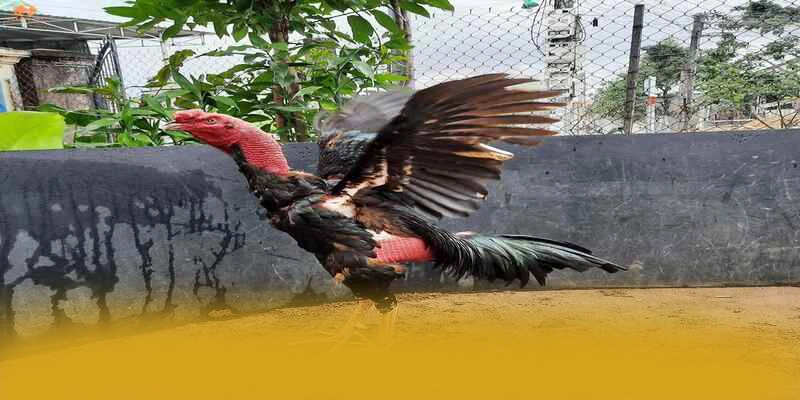 Phương thức thanh toán đa dạng tại 8XBET